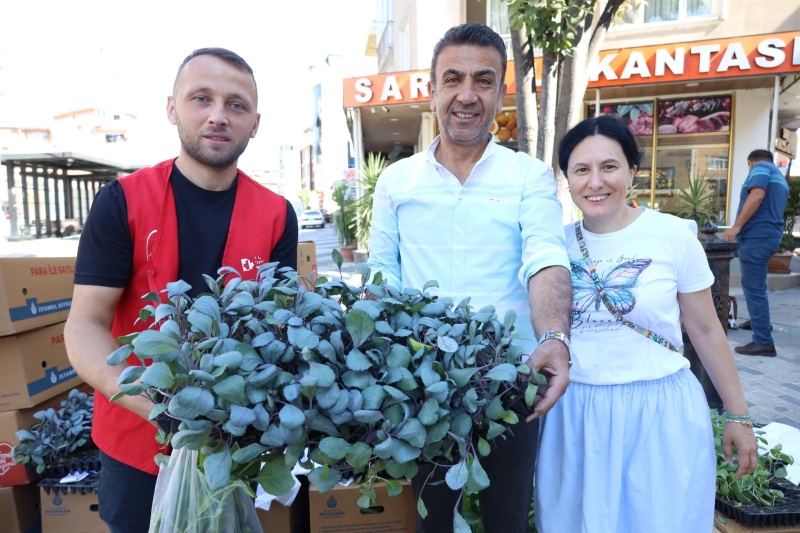 İzmit Belediyesi 480 bin lahana fidesini vatandaşlara dağıttı