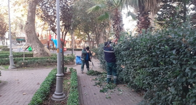 3 ilçede ağaçlara kış bakımı