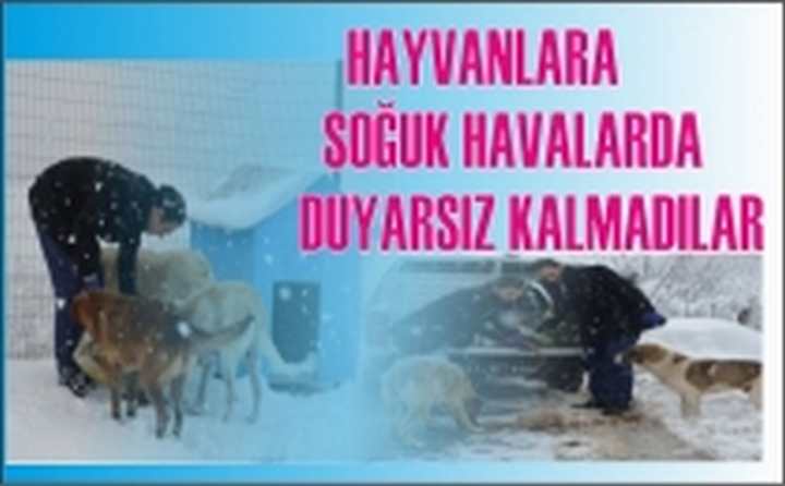 duyarsız kalmadılar