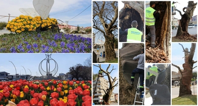 Gebze’de parklar çiçek açtı