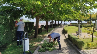 Her Şey Daha Yeşil Bir Gebze İçin