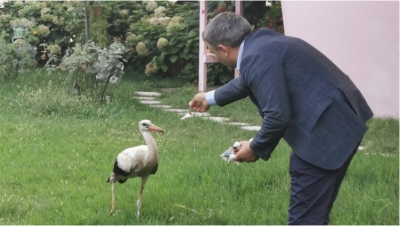 Sürüden Ayrılan Leyleğe, Başkan Şayir sahip çıktı